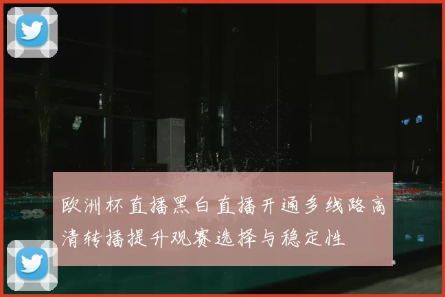欧洲杯直播黑白直播开通多线路高清转播提升观赛选择与稳定性