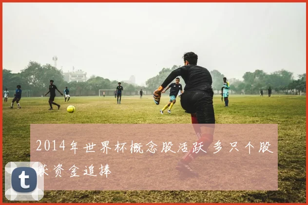 2014年世界杯概念股活跃 多只个股获资金追捧